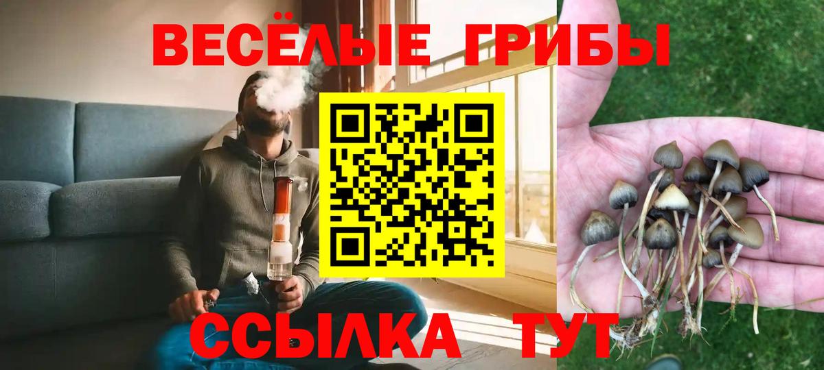 Киров  Псилоцибиновые грибы Psilocybine cubensis  Вход с VPN  Псилоцибиновые грибы прущие грибы 