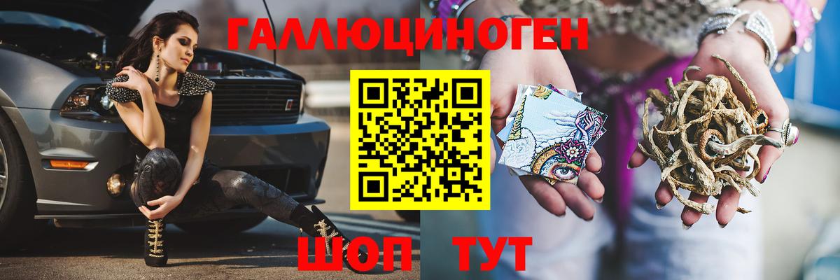 Псилоцибиновые грибы Psilocybine cubensis Киров